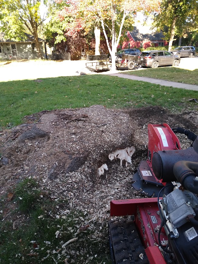 Arborsmith Tree Care gallery 4